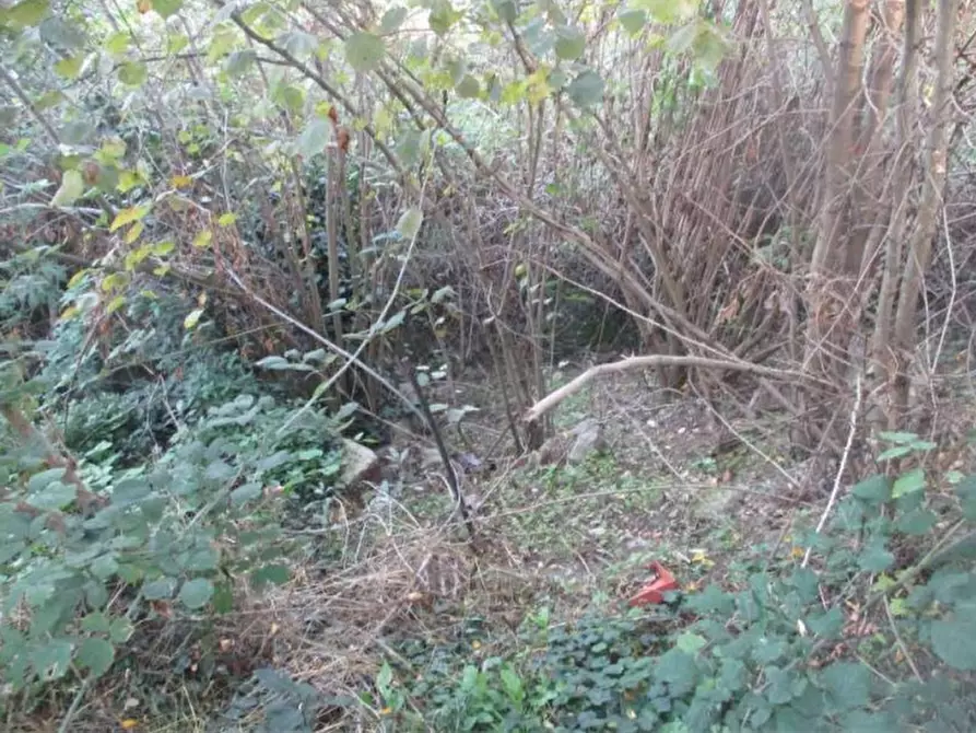 Immagine 4 di Porzione di casa in vendita  in Via Serra a Mercato Saraceno