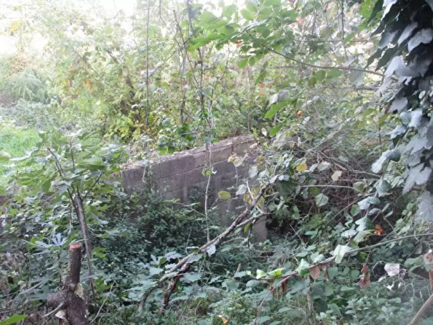 Immagine 5 di Porzione di casa in vendita  in Via Serra a Mercato Saraceno