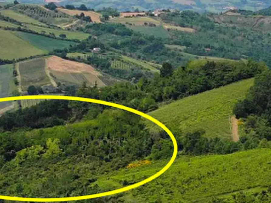 Immagine 6 di Terreno agricolo in vendita  in Via della Valle in Tessello a Cesena