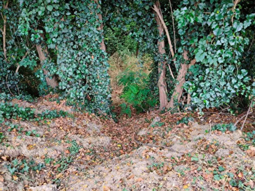 Immagine 4 di Terreno agricolo in vendita  in Via della Valle in Tessello a Cesena