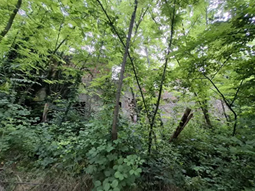 Immagine 3 di Terreno agricolo in vendita  in Via della Valle in Tessello a Cesena