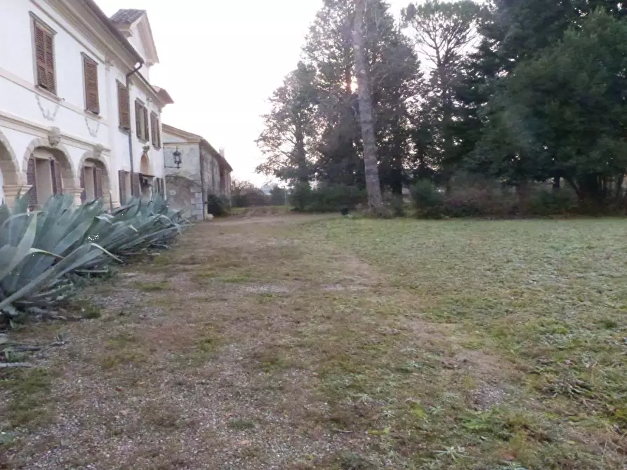 Immagine 4 di Villa in vendita  in Via Roma a Codognè