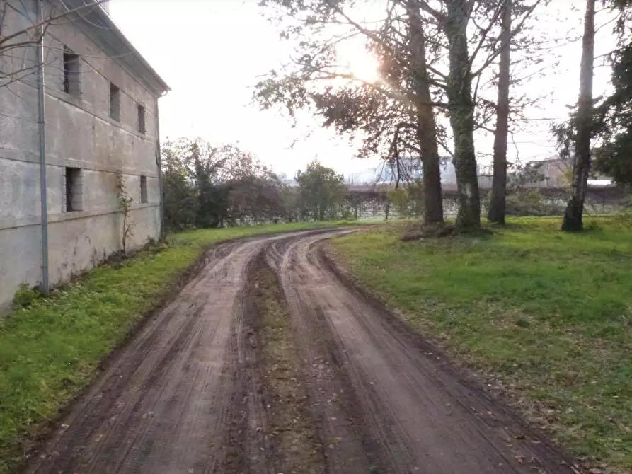 Immagine 9 di Villa in vendita  in Via Roma a Codognè