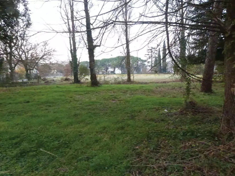 Immagine 12 di Villa in vendita  in Via Roma a Codognè