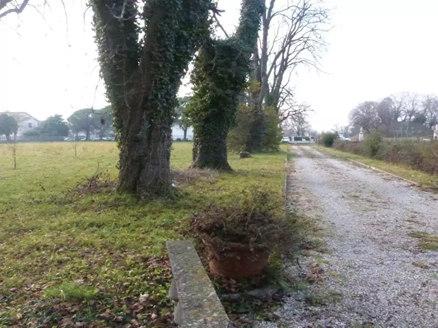 Immagine 14 di Villa in vendita  in Via Roma a Codognè