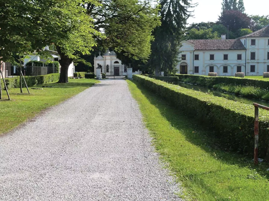 Immagine 15 di Villa in vendita  in Via Roma a Codognè