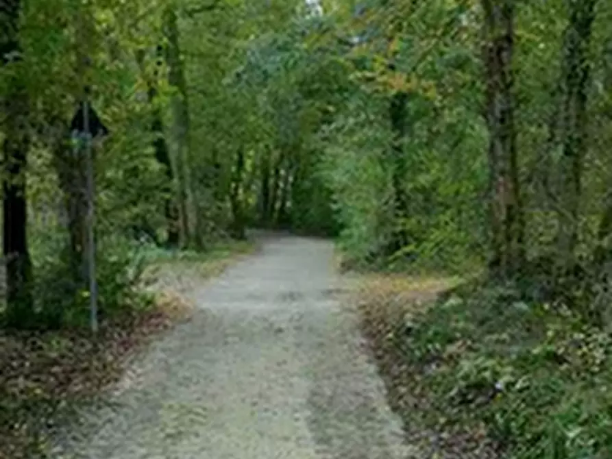 Immagine 6 di Porzione di casa in vendita  in Via Salce a Belluno