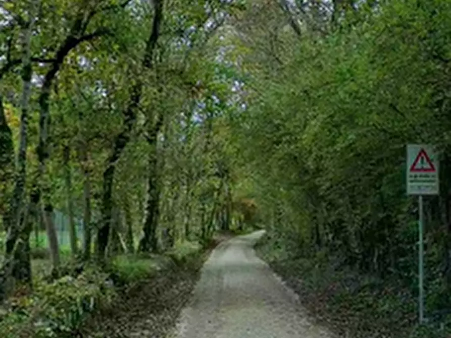 Immagine 7 di Porzione di casa in vendita  in Via Salce a Belluno