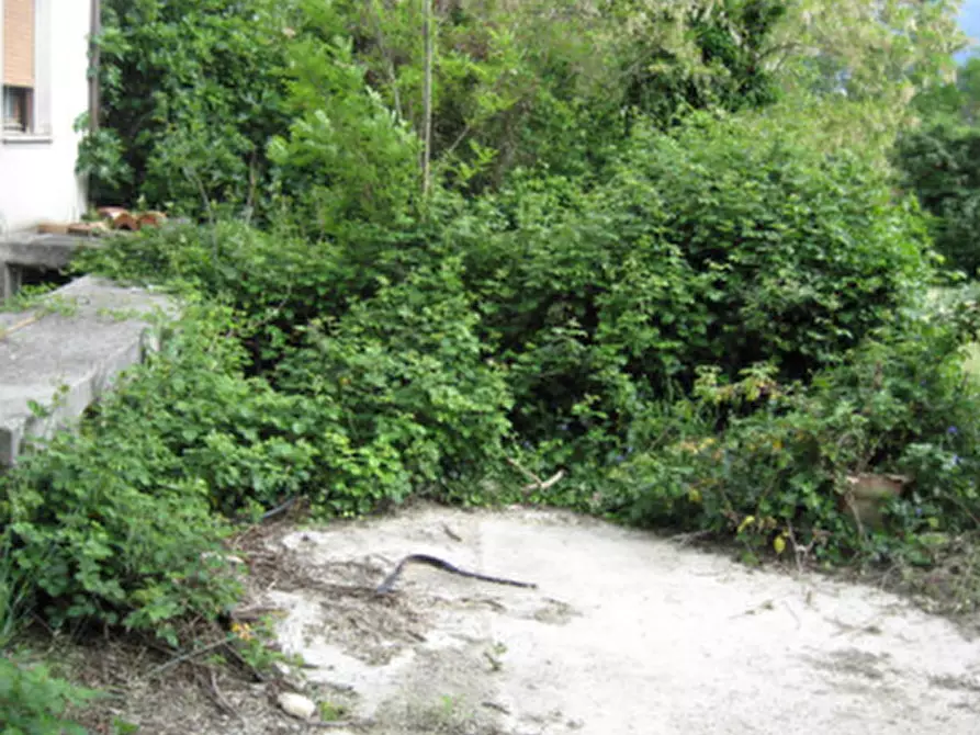 Immagine 7 di Casa indipendente in vendita  in Via Linaro  a Cesena