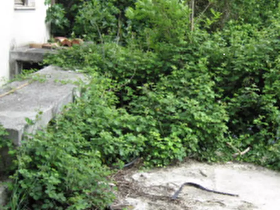 Immagine 8 di Casa indipendente in vendita  in Via Linaro  a Cesena