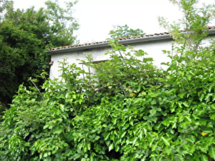 Immagine 3 di Casa indipendente in vendita  in Via Linaro  a Cesena