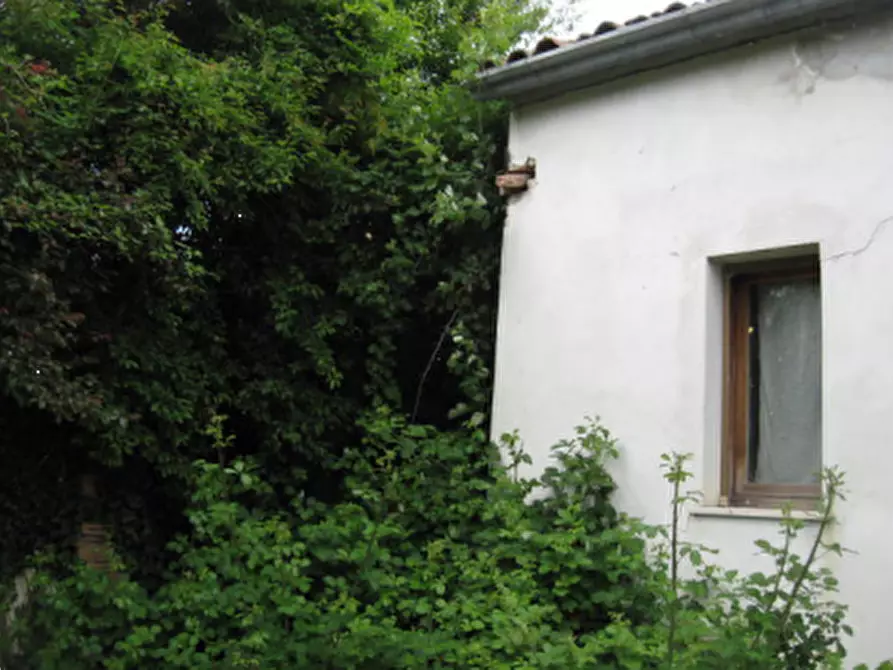 Immagine 2 di Casa indipendente in vendita  in Via Linaro  a Cesena