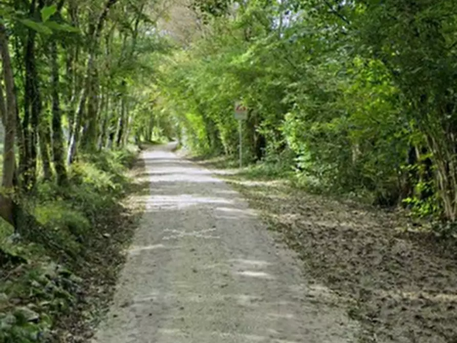 Immagine 17 di Porzione di casa in vendita  in Via Salce a Belluno