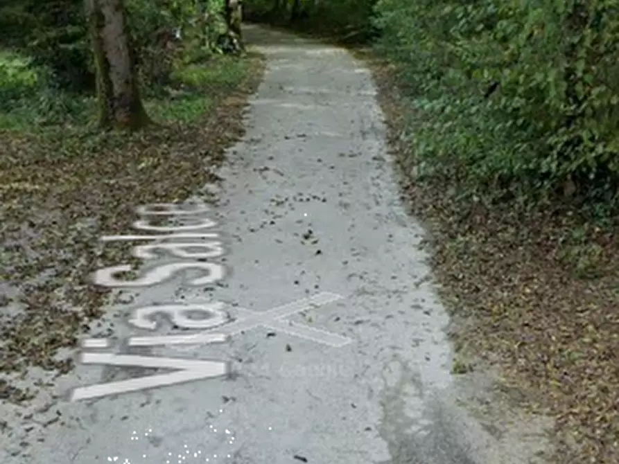 Immagine 18 di Porzione di casa in vendita  in Via Salce a Belluno