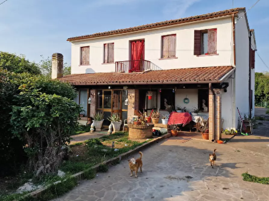 Immagine 11 di Casa indipendente in vendita  in Via San Rocco a Montebelluna