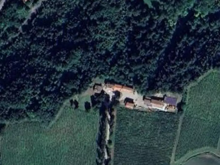 Immagine 13 di Terreno agricolo in vendita  in Localita' Moiolo di Cassano  a Ponte Dell'olio