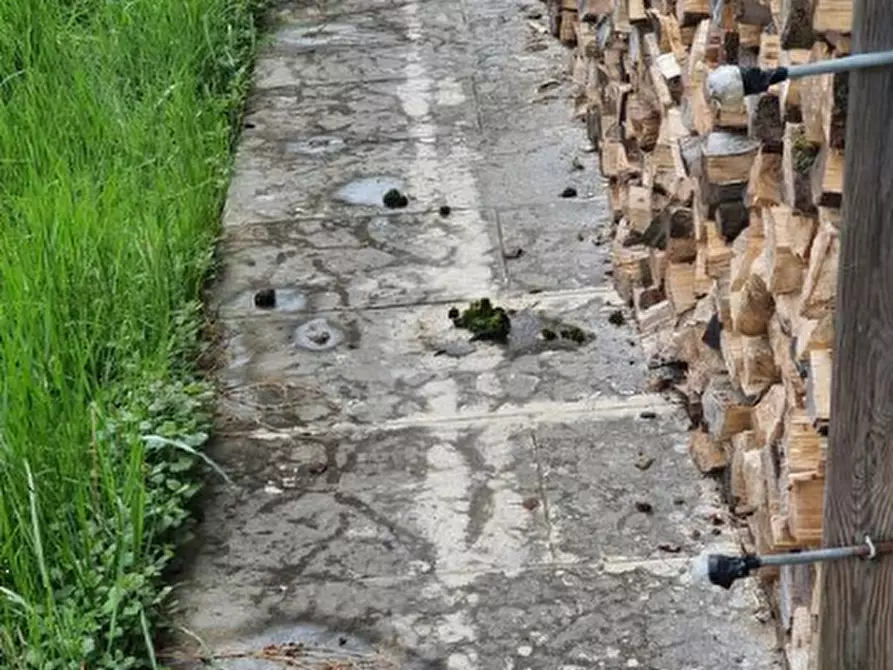 Immagine 7 di Casa indipendente in vendita  in Via Salce a Belluno