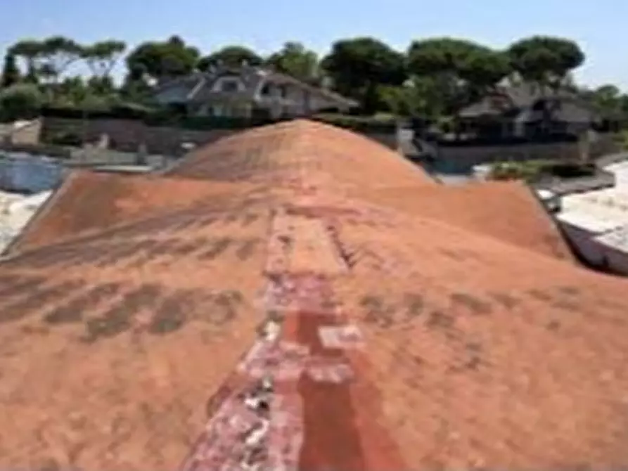 Immagine 4 di Capannone industriale in vendita  in Via Tevere a Ardea