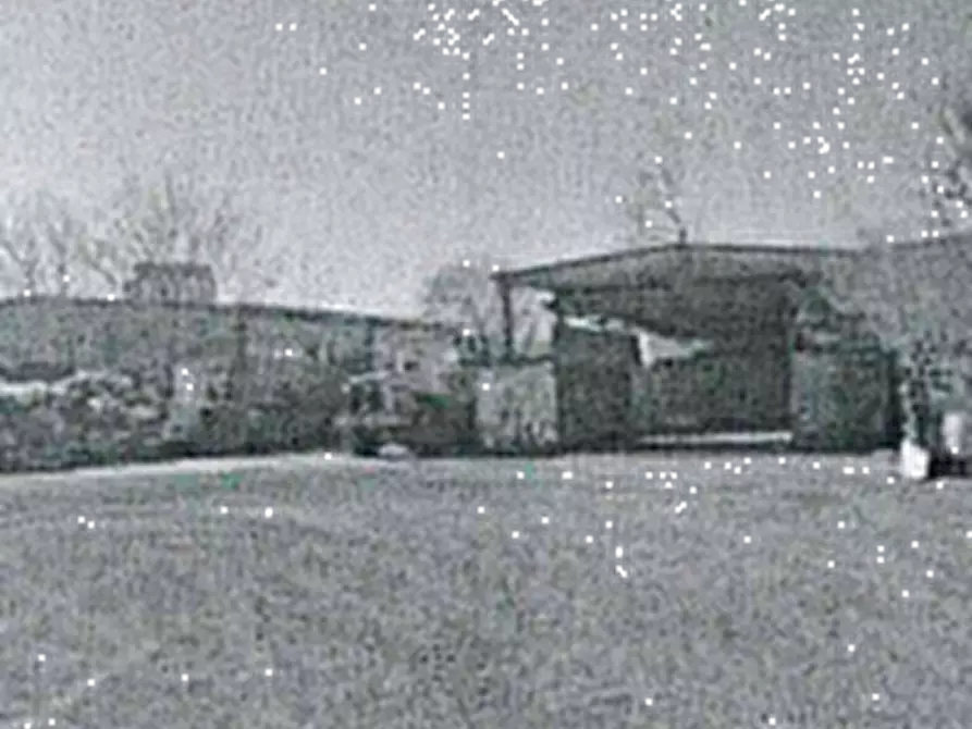 Immagine 4 di Terreno agricolo in vendita  in Via Tobagi a San Cipriano Po