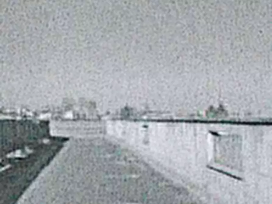 Immagine 5 di Terreno agricolo in vendita  in Via Tobagi a San Cipriano Po