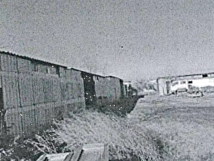 Immagine 6 di Terreno agricolo in vendita  in Via Tobagi a San Cipriano Po