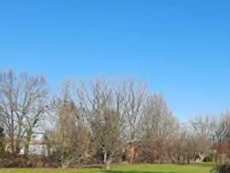 Immagine 11 di Rustico / casale in vendita  in Via Legnago a Palu'