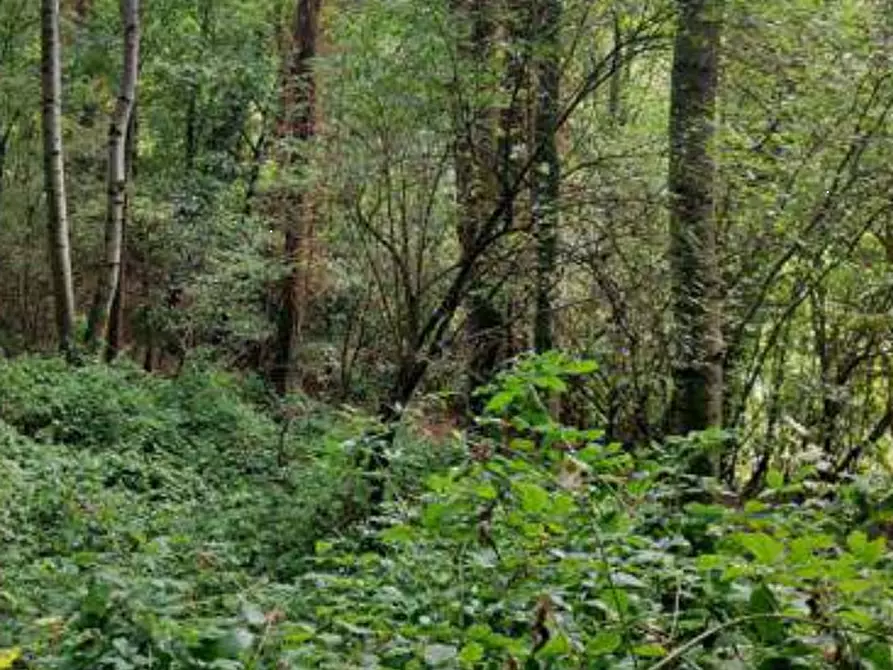 Immagine 6 di Terreno agricolo in vendita  in Via Spersiglio a Pradalunga