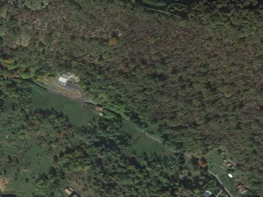 Immagine 7 di Terreno agricolo in vendita  in Via Spersiglio a Pradalunga