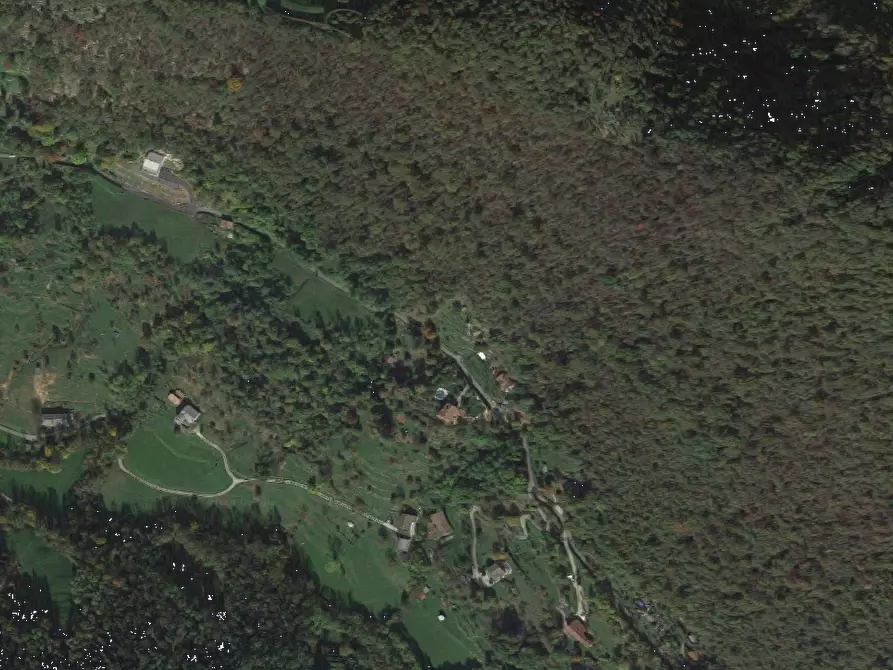 Immagine 8 di Terreno agricolo in vendita  in Via Spersiglio a Pradalunga