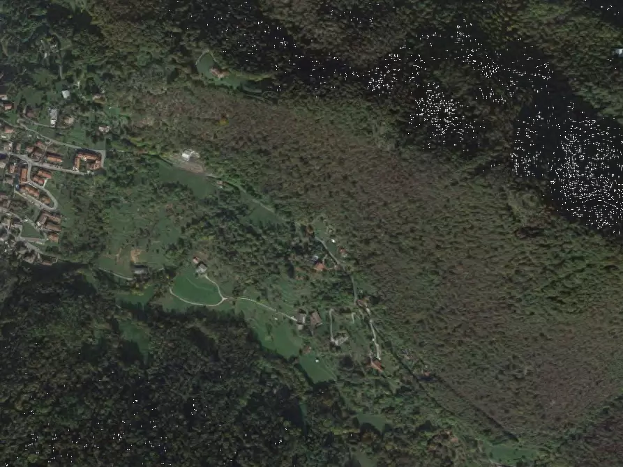 Immagine 9 di Terreno agricolo in vendita  in Via Spersiglio a Pradalunga