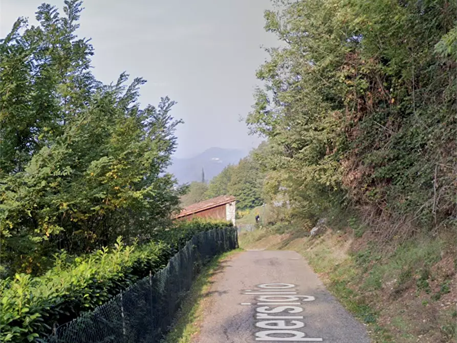 Immagine 10 di Terreno agricolo in vendita  in Via Spersiglio a Pradalunga