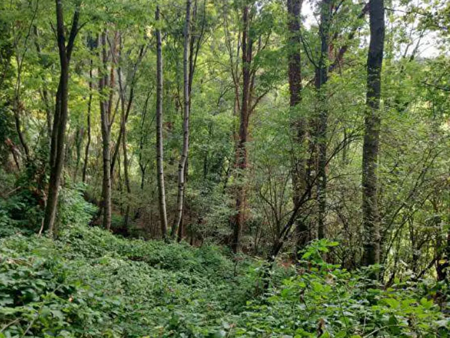 Immagine 1 di Terreno agricolo in vendita  in Via Spersiglio a Pradalunga