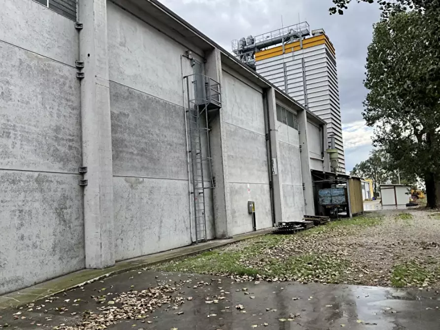 Immagine 4 di Capannone industriale in vendita  in Via San Martino Carano a Mirandola