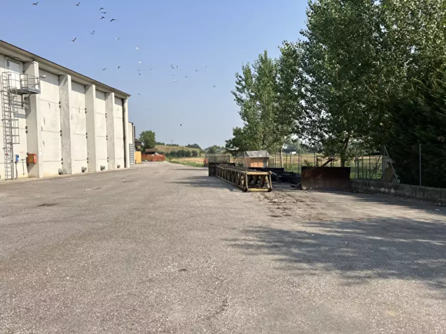 Immagine 11 di Capannone industriale in vendita  in Via San Martino Carano a Mirandola