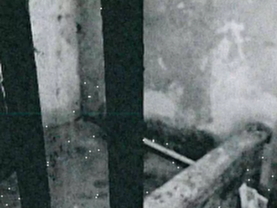 Immagine 16 di Appartamento in vendita  in Via Roma a Marcignago