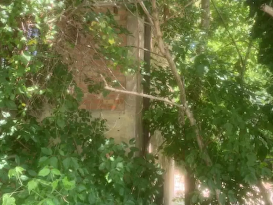 Immagine 4 di Casa indipendente in vendita  in Via Bassa a Alfonsine