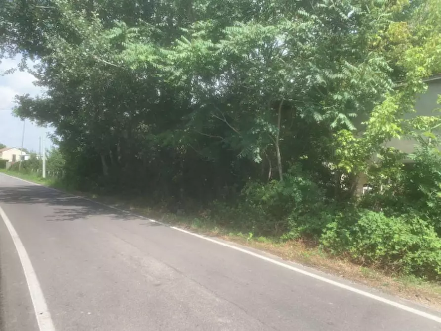 Immagine 9 di Casa indipendente in vendita  in Via Bassa a Alfonsine