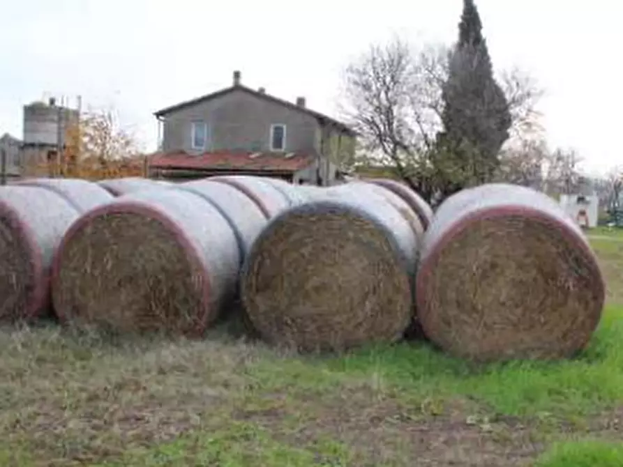 Immagine 9 di Casa indipendente in vendita  in Strada Rocca delle Camminate a Meldola