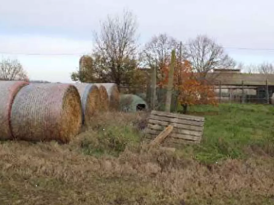 Immagine 11 di Casa indipendente in vendita  in Strada Rocca delle Camminate a Meldola