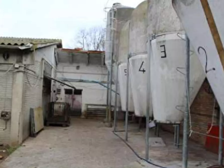 Immagine 22 di Casa indipendente in vendita  in Strada Rocca delle Camminate a Meldola