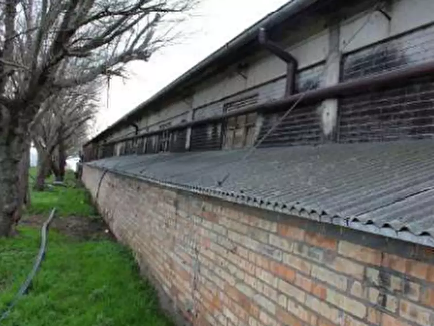 Immagine 33 di Casa indipendente in vendita  in Strada Rocca delle Camminate a Meldola