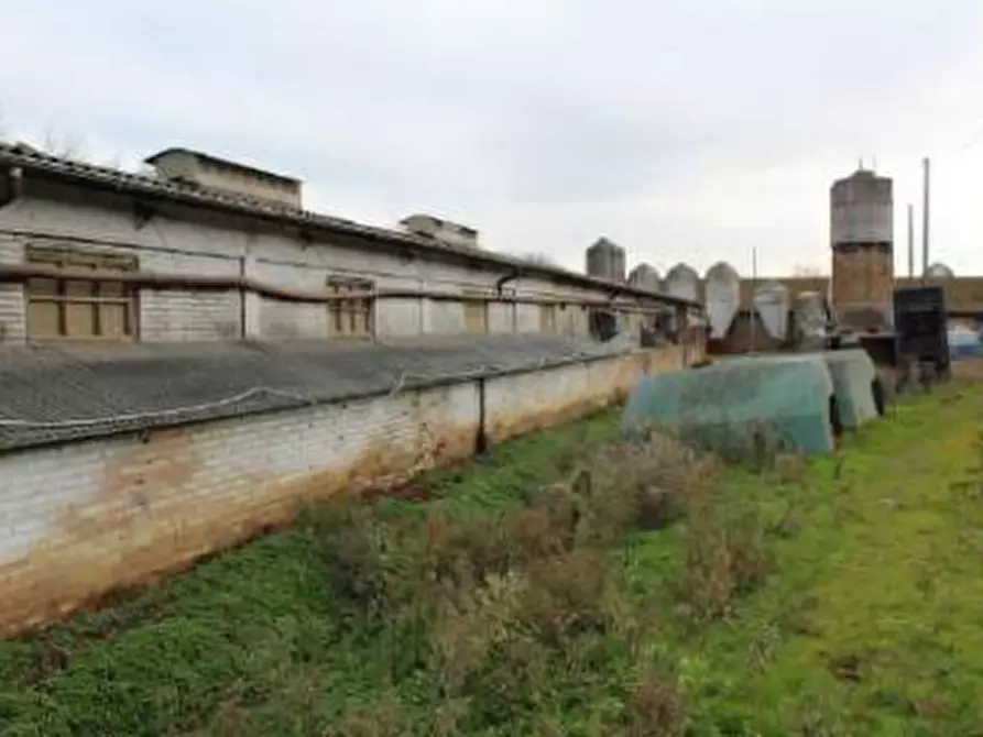 Immagine 38 di Casa indipendente in vendita  in Strada Rocca delle Camminate a Meldola