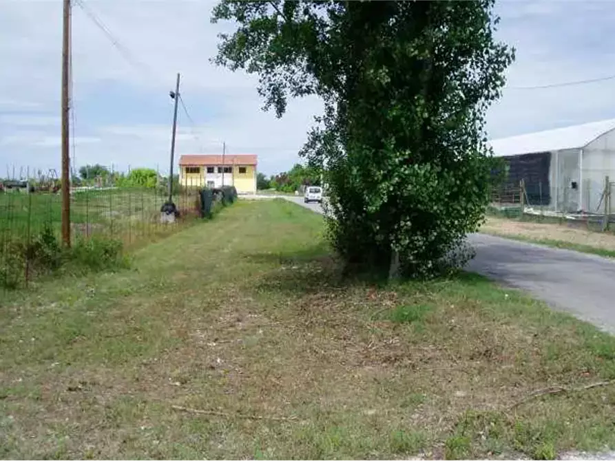 Immagine 3 di Terreno edificabile in vendita  in Via Padrina a Solarolo