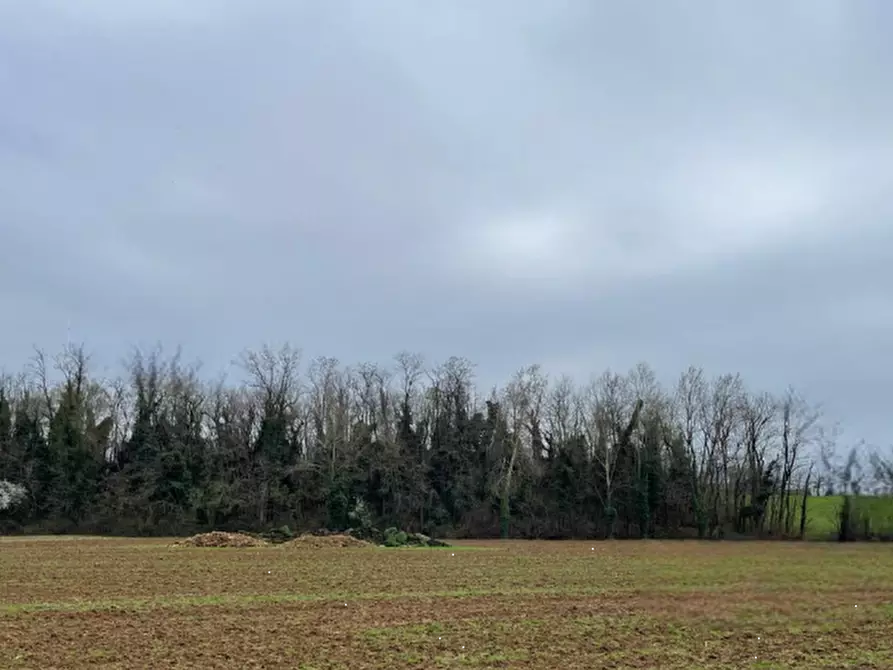Immagine 2 di Terreno agricolo in vendita  in Via Palazzo a Bedizzole