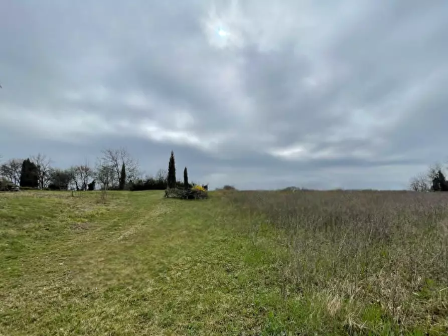 Immagine 1 di Terreno agricolo in vendita  in Via Palazzo a Bedizzole