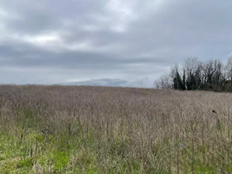 Immagine 5 di Terreno agricolo in vendita  in Via Palazzo a Bedizzole