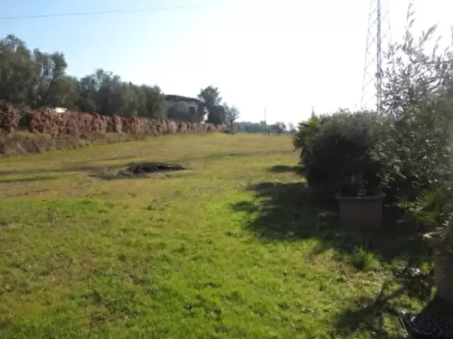 Immagine 1 di Terreno agricolo in vendita  in Via di Strognano a Cerreto Guidi