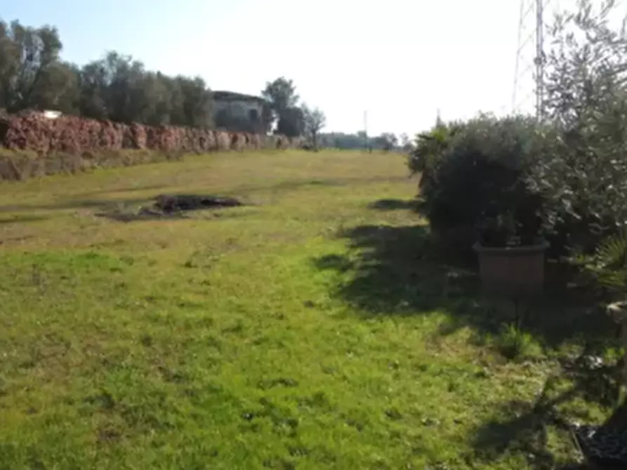 Immagine 2 di Terreno agricolo in vendita  in Via di Strognano a Cerreto Guidi