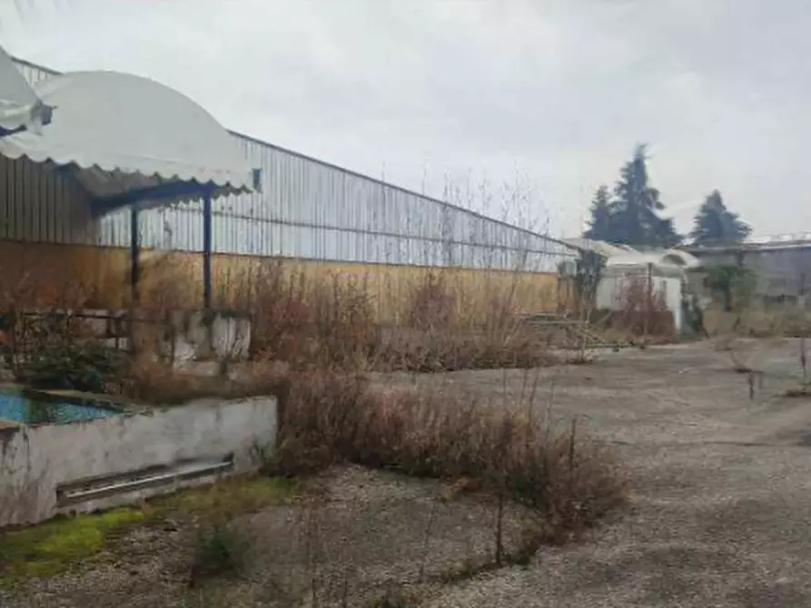 Immagine 4 di Capannone industriale in vendita  in Via M. Porgeit a Vajont