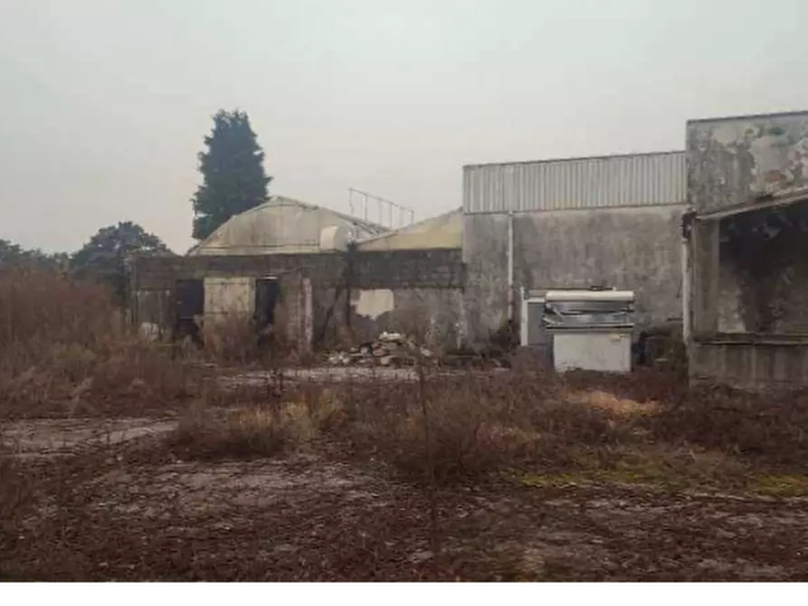 Immagine 6 di Capannone industriale in vendita  in Via M. Porgeit a Vajont
